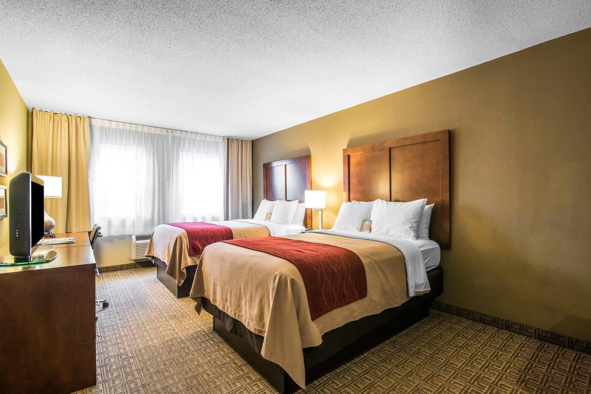 Comfort & Hotel