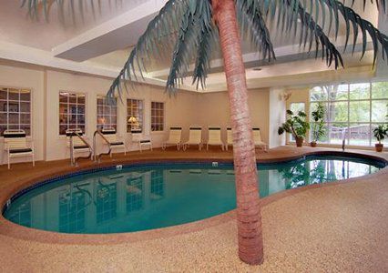 Comfort & Hotel